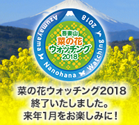 吾妻山なのはなウォッチング