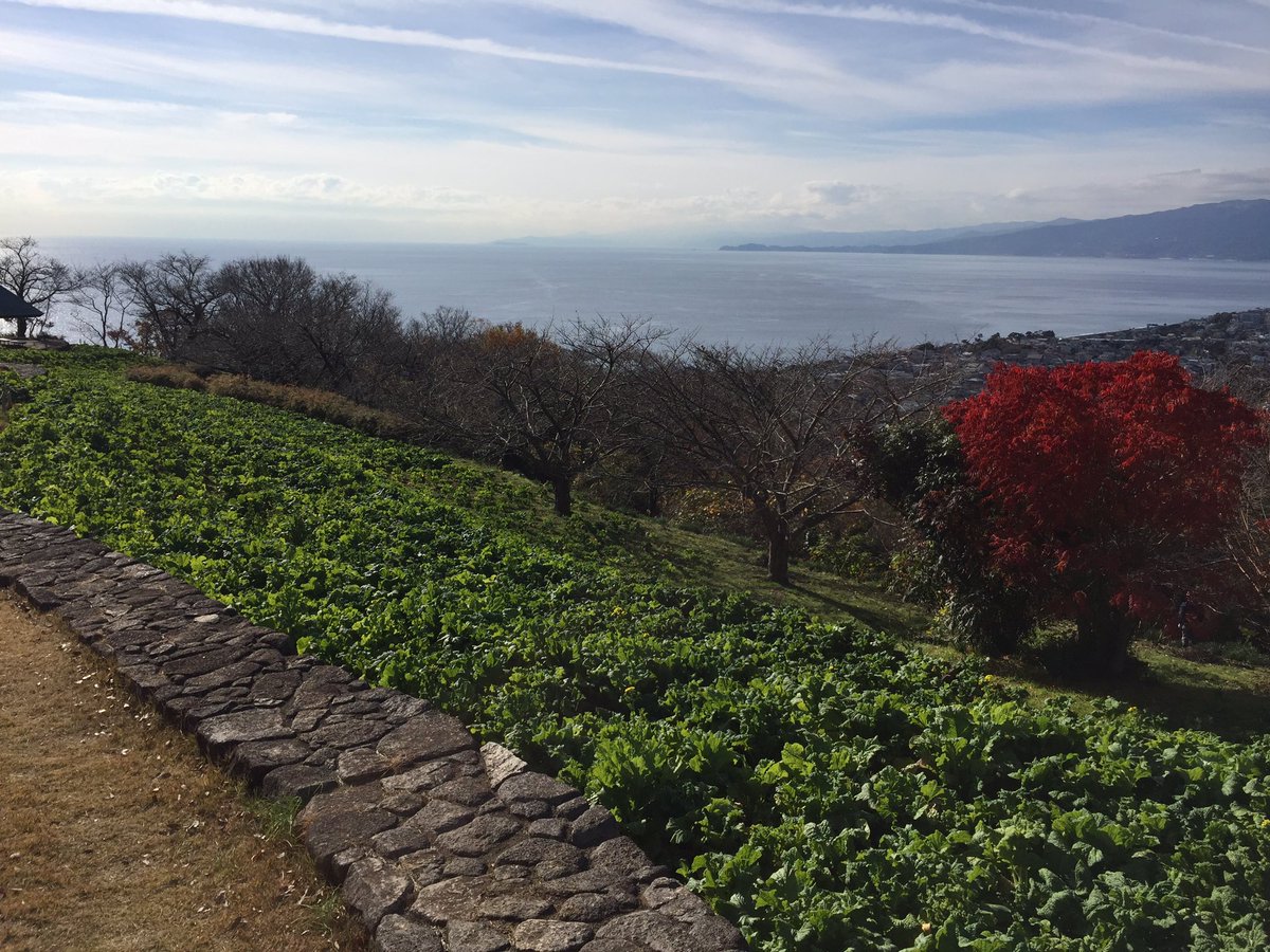 czchfx4uoaaujcr 湘南二宮町観光ナビ
