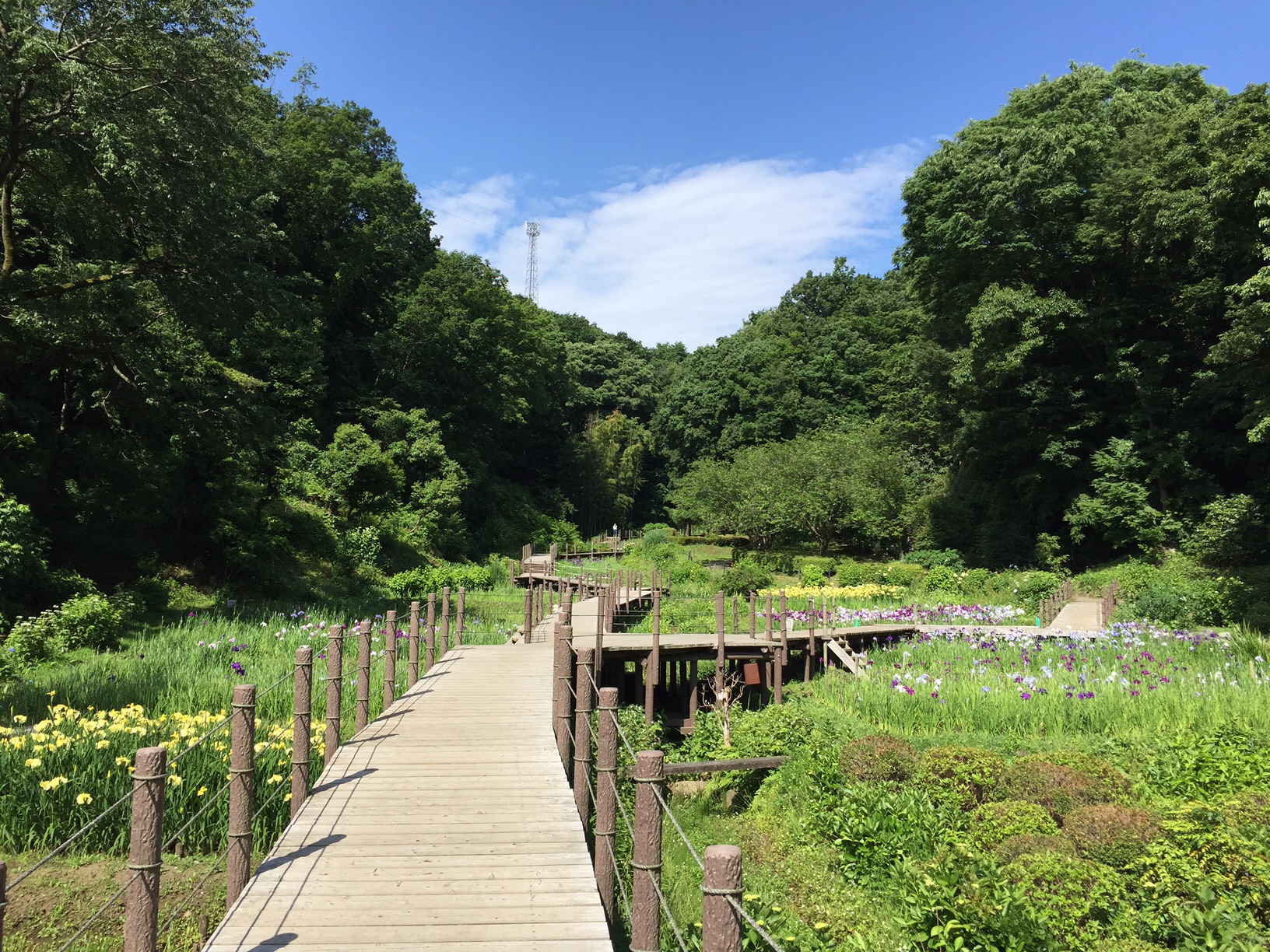 IMG_1932 湘南二宮町観光ナビ