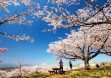吾妻山公園