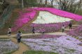 吾妻山公園