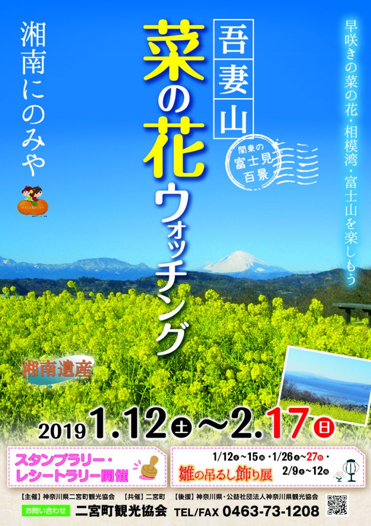 菜の花2019-ポスター